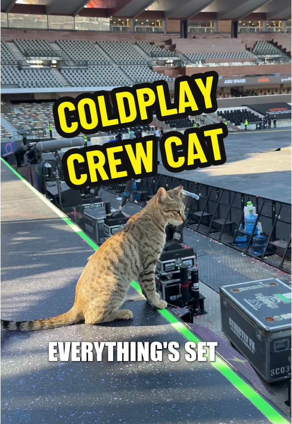 🐈 A day in the life of a stadium cat… #ColdplayAbuDhabi #catsoftiktok 