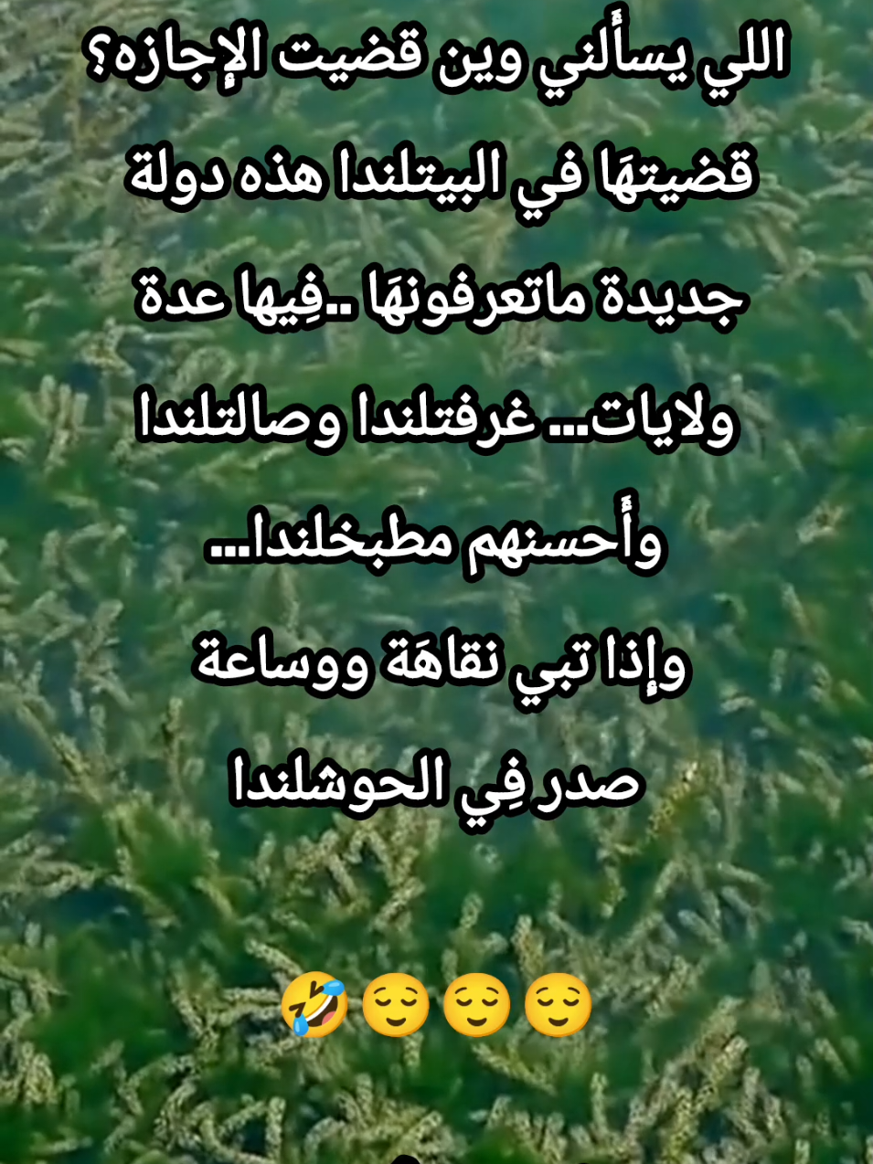 #نكت #ضحك #وناسة #كوميديا #كوميدي