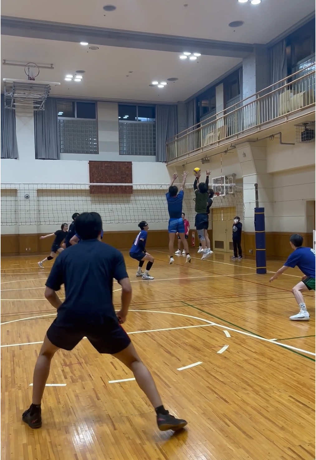 練習🌸 #東京スリジエ #tokyocerisier  #千代田区地域密着型バレーボールチーム  #バレーボール #sports #volleyball  #haikyuu #ハイキュー #japan  #f #fyp #fypシ #スポーツ 