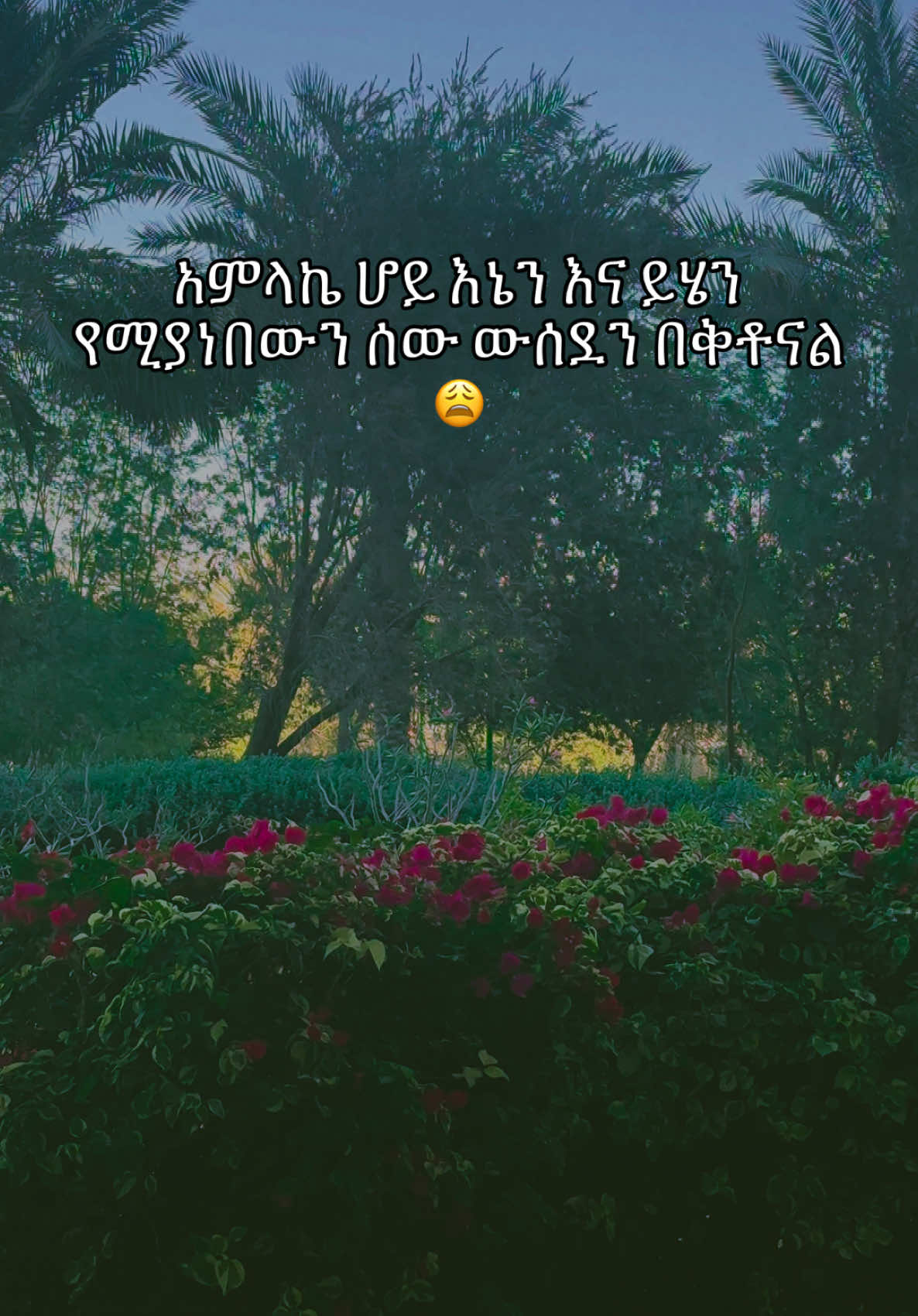 እዛስ ሂደን ምን ጥቅም 😏 #habeshatiktok #ethiopian_tik_tok #ertreantiktok🇪🇷 #dxb #ዴቭዳስ 