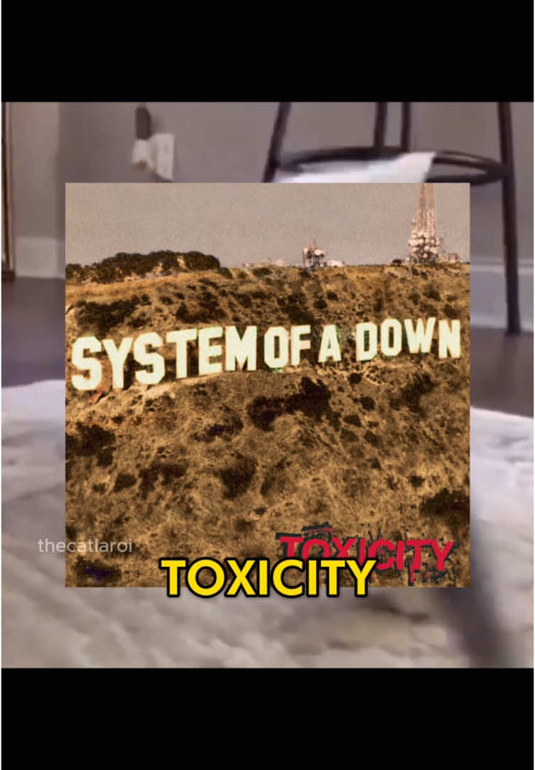 🗣️🗣️ WHAT DO YOU OWN THE WORLD? 🔥🔥 #toxicity #systemofadown #songoftheday #catedit #catsoftiktok #catlover #catcore #thecatlaroi #fyp 