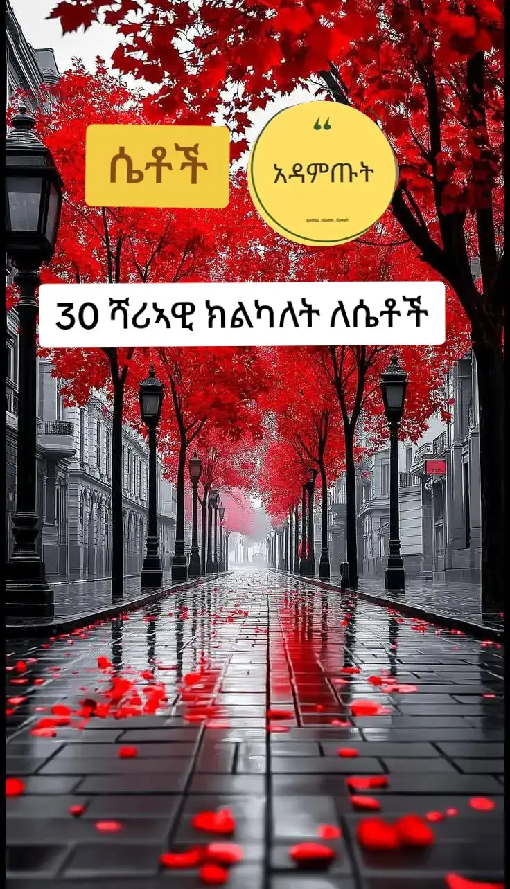 #ሱብሀን #አለህ #💖💖💖 