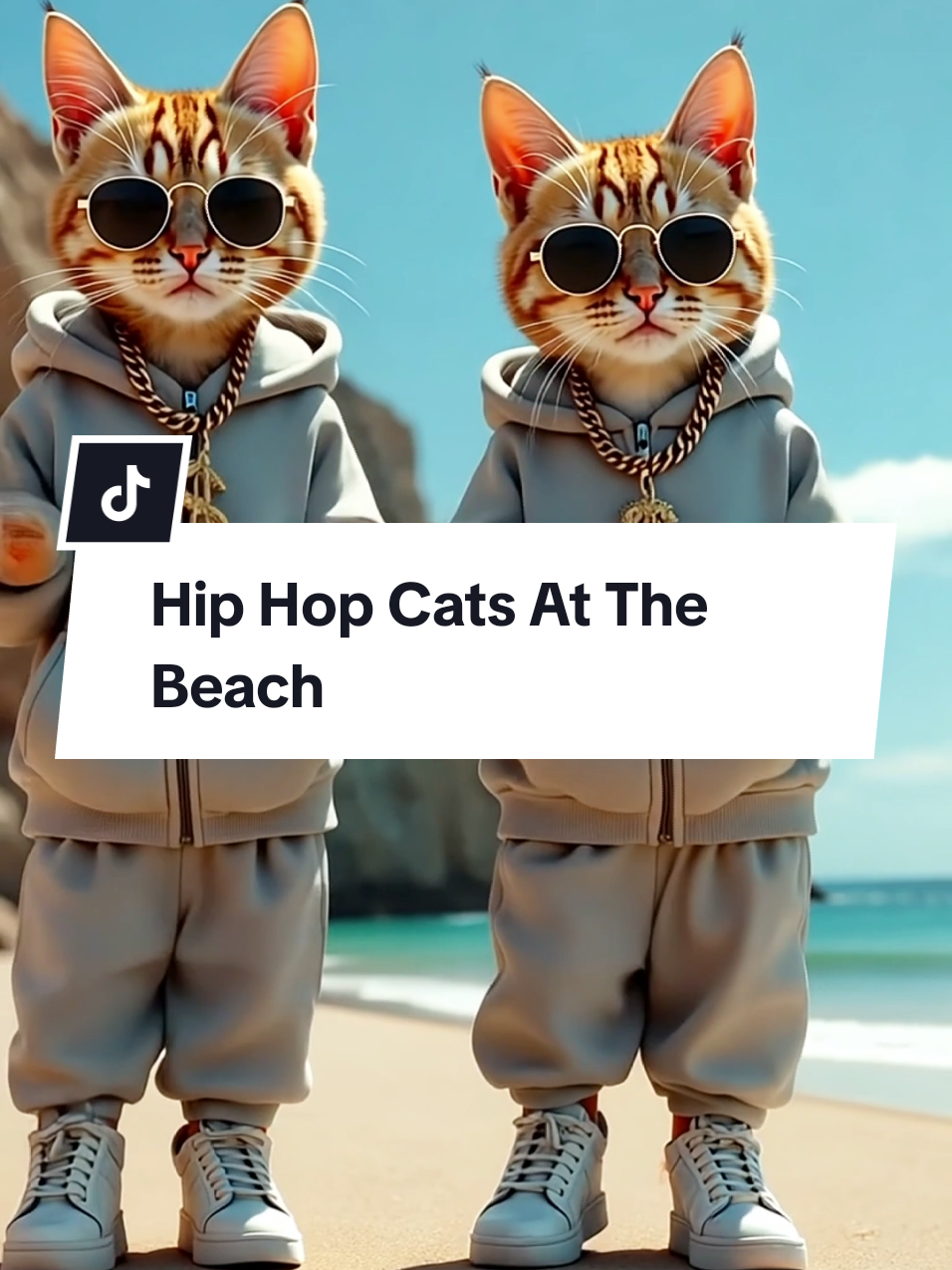 Hip Hop Cats dancing at the beach #cutecat #dancingcat #50cent #indaclub @50 Cent 