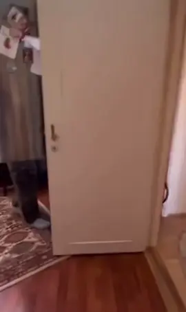 Grandma had enough. #funny #funnyvideos #fail 