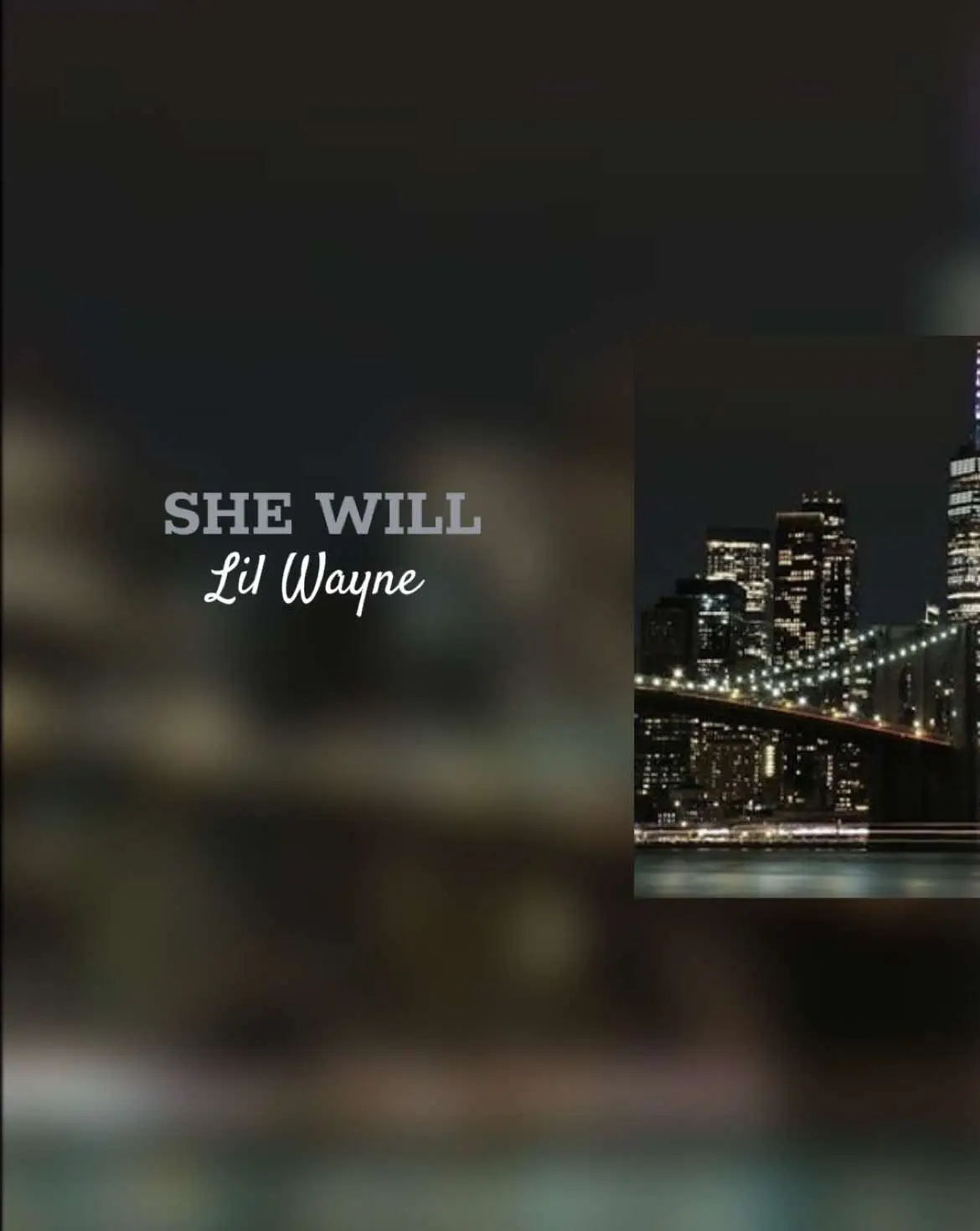 #lilwayne #shewill #spotify #lyrics #instrumental #audios #fyp #foryoupage #trending 