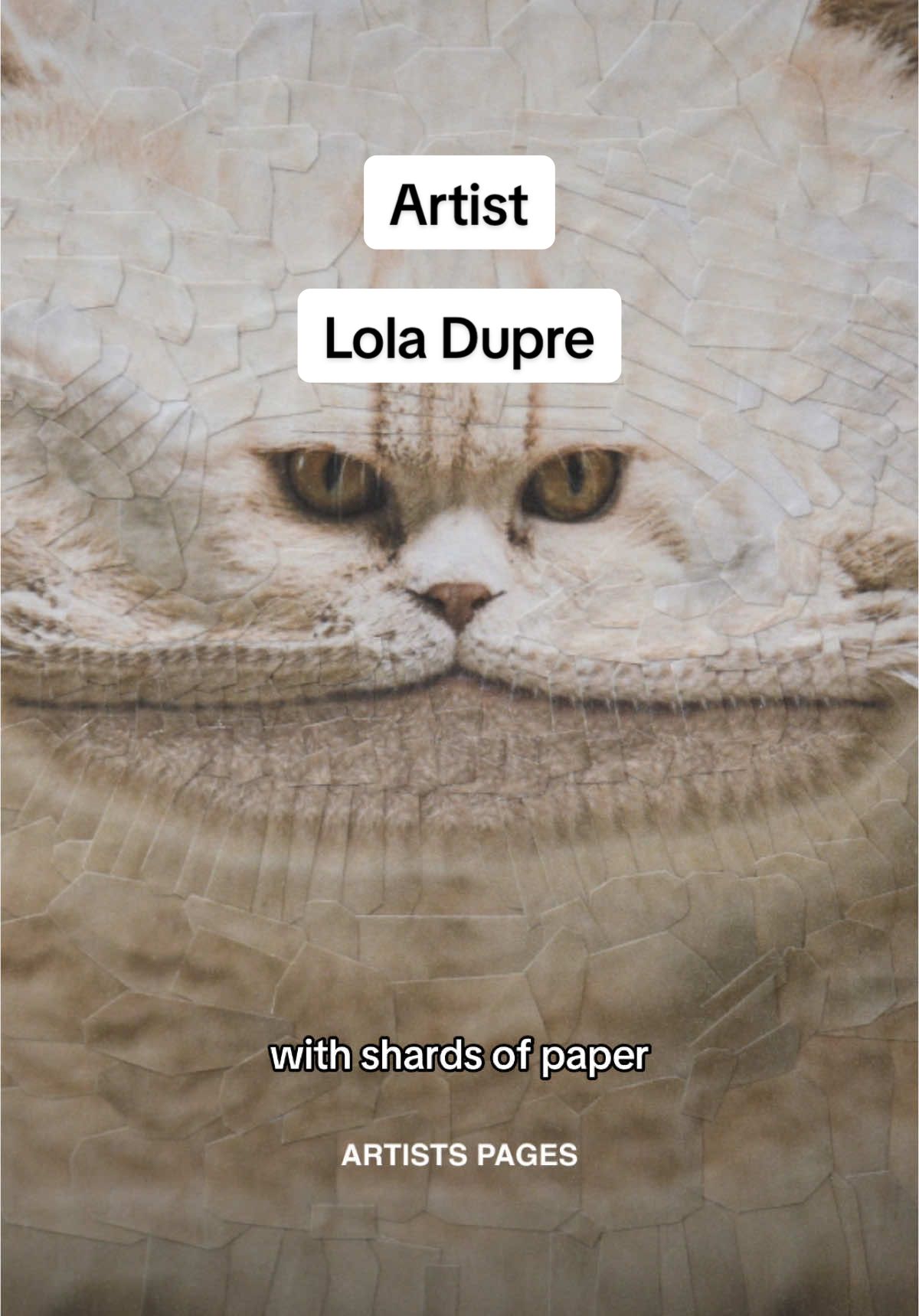 Meet artist Lola Dupre who has created her own visual language utilising shards of paper to compose images of animals, landscapes, and figures that abstract the norm. Find Lola on other platforms at loladupre ❤️ #artist #artistsoftiktok #contemporaryart #photography #abstractart 