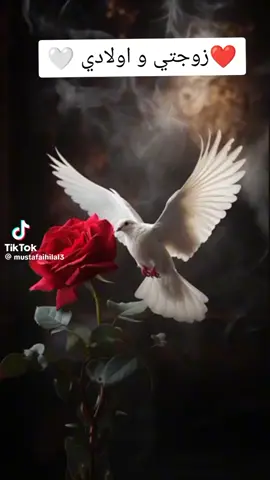 دعاء لزوجتي وأولاد في يوم الجمعه #راحه_نفسيه #حالات_واتس #استوريات #دعاء#زوجتي #دويتو @mohamedmalek030 