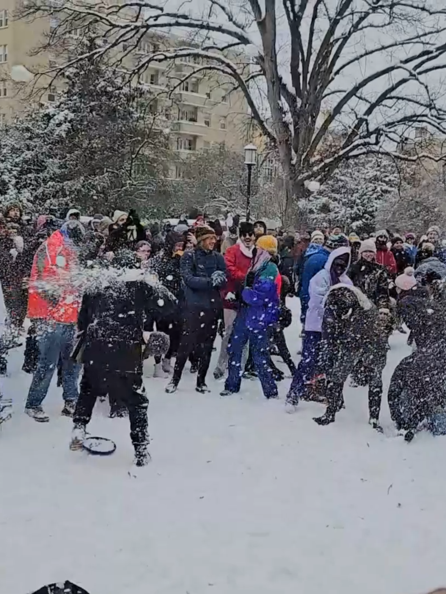 Every winter, the DC Snowball Fights Association organizes a snowball fight in Washington DC ❄️ via Carmen Rodriguez