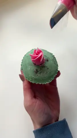 A little snippet of my day 🌹 . #cake #cupcakes #flowers #fyp #piping #baking #cupcakedecorating #cupcakedecoratingvideo #petals #bakery #edibleflowers #buttercreamflowers #petalsbakehouse 