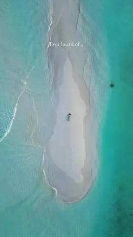 Ever heard of … Fulhadhoo? 🌴🇲🇻🌺 Fulhadhoo is a local island located in the Baa Atoll of the Maldives, about two hours away by speedboat. It’s the perfect getaway for those seeking a mix of adventure and relaxation. Here are some of the highlights we experienced: - Dolphin Safari 🐬: Join a dolphin safari and watch these playful creatures in their natural habitat. If you’re lucky, you might even get the chance to swim alongside them!  - Swimming with Manta Rays 🦋: Experience the magic of swimming with majestic manta rays – a once-in-a-lifetime encounter. - Visiting a deserted Island🏝️: Take a short boat ride to a deserted island and enjoy complete seclusion. It feels like having your own private paradise. - Relaxing on the Sandbank 🌊: The island’s sandbank is stunning, with crystal-clear turquoise water that’s perfect for swimming or simply relaxing. We stayed at @ahiva_village , a cozy accommodation option on the island, costing around €120 per night. Fulhadhoo is truly a gem 🌴🇲🇻  #maldives #maldivesislands #maldivesresorts #maldiveslovers #maldivestrip #maldivesbeach #visitmaldives #localisland #fulhadhoo #innafushi  #baaatoll  #baaatollmaldives #sandbank 
