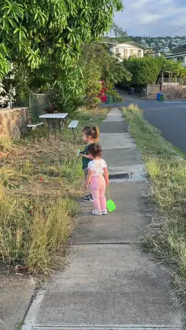 The problem between @Jay Anne in Hawaii 🌺🌴 and #chad2dad is that we have opposing reasons why we are married with children.  Her's is purely romantic.  Mine is purely functional.  Nobody is wrong.  We have to validate each other's values and find the common ground. #family #mariage #passportbro #children #generations #lineage #legacy