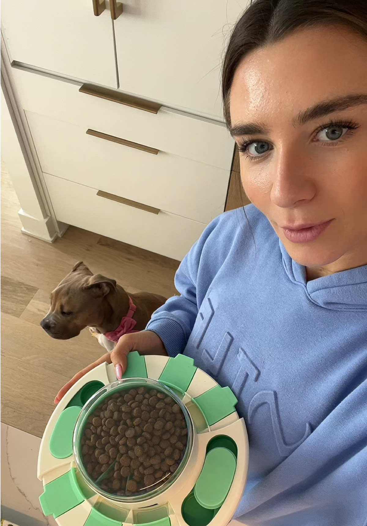 ok new slow feeder is 10/10🤝🏼 #puppy #gemmalou #americanbully #puppytiktok #bullydog #puppylife #slowfeeder #slowfeederbowl