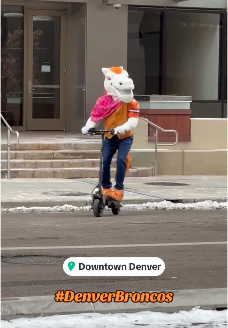 Miles Denver Broncos mascot cruising around downtown on the scooter for a surprise finish. #DenverBroncos #Denver #Colorado #Miles 