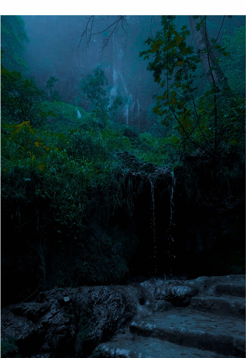 Rainy Days #nature #calm #darkaesthetic #naturephotography #foryou #aesthetic #relax 