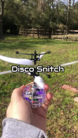 It flies  #disco #snitch #flying 