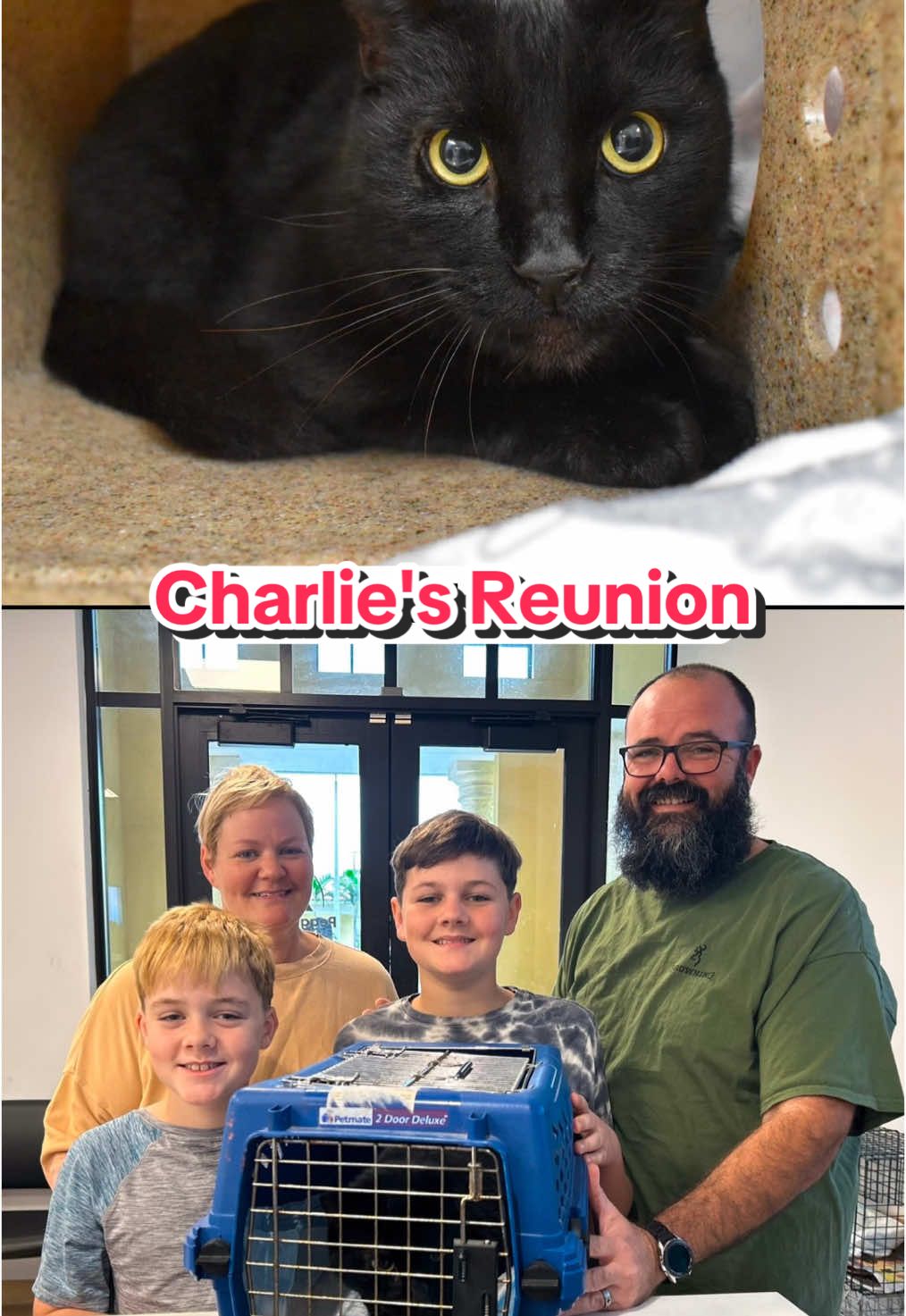 Reunited after a YEAR! Charlie's family was devastated when he escaped and went missing a year ago. After endless searching, they were starting to lose hope that they would ever find Charlie. Their only hope was Charlie's microchip. They knew that if he ever visited a shelter or vet's office, staff should scan his chip and contact them. That's exactly what happened on Spay Day! Charlie wandered into a trap for a free snack and ended up ar Peggy Adams!  When we realized that he was already neutered and microchipped, we called his family! They rushed in to pick Charlie up immediately. What a sweet reunion!