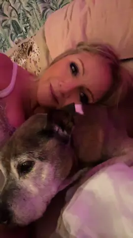 I’ve not posted a lot lately as we lost our gorgeous girl last week, so I have taken some much needed time out. She was such a good age at 18 but this makes it no easier to lose such a special soul in our lives x long video but many of my friends on here knew her - she touched many hearts 💕💔