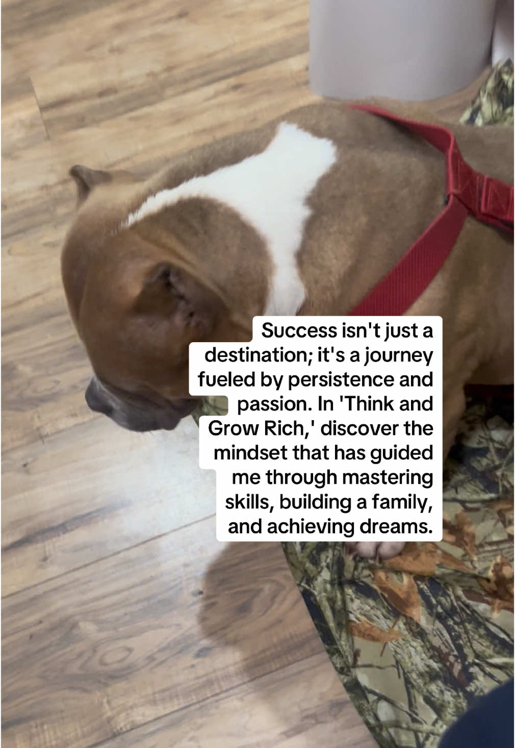 Unlock your potential and transform your life with the timeless principles from 'Think and Grow Rich'!