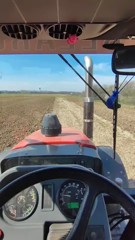 😍😍 #belarus1221.3#metalwolf#tanjiranje#agriculturetiktok#vojvodina#poljoprivreda❤️#viral#Bezdan#farminglife
