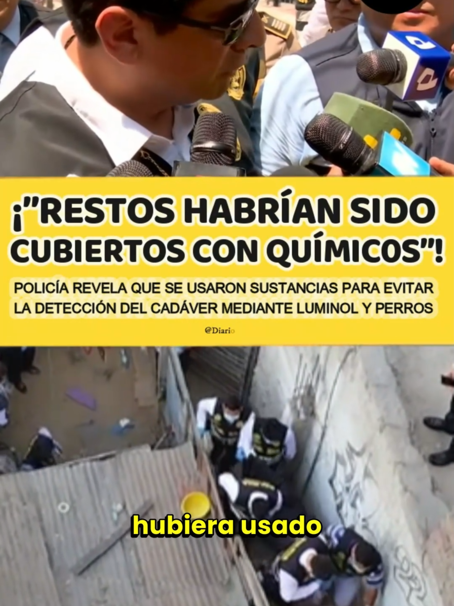 🟡⚫️ #DiarioViral I #LoÚltimo 🚨 👉 ¡Cubrieron restos! 👩🕊👨👮‍♂️🚓 Policía revela que se habrían usado sustancias químicas para evitar la detección inicial del cadáver de la docente de inicial, Leyla Cristóbal, mediante pruebas de luminol, e inclusive los propios perros rastreadores en la vivienda de su expareja, Roberto Palomino en el distrito limeño El Agustino. 🏠🐶😱😰 ➡️ Cabe recalcar que el cuerpo de Leyla, hallado el último miércoles 15 de enero, se encontraba enterrado, poca profundidad, en la vivienda del principal sospechoso de feminicidio. Mismo que habría actuado con apoyo de alguien para poder desaparecer el cadáver. 👨 ➡️ El proceso de identificación del cuerpo fue hecho por la madre de la docente quién reconoció el cadáver a través de una pulsera que la joven llevaba en la mano izquierda. 🧓 ➡️ Asimismo, Palomino tenía cuatro denuncias previas por violencia física y psicológica contra una expareja, además de los videos que fueron expuestos por cámaras de seguridad donde se veía al sujeto golpeando a Leyla. 😤🤬 #LeylaCristóbalPenadillo #Leyla #Quimicos #Sustancias #Esconder #Revelación #Verdad #Pruebas #Abogada #Docente #Búqueda #Hallada #Casa #Expareja #RobertoCarlosPalominoRomero #Justicia #Perú #ElAgustino #Lima #Policía #PNP #Familia #Cuestionamientos #Investigación #Comisaría #Vivienda #MinisterioDelInterior #MinisterioPúblico #Investigaciones #VideoViral #VideoPolémico #ParaTiii #Compartir #Hoy #16DeEnero #NoticiasPerú #ÚltimasNoticias #Sugerencias #Tendencias #Alerta #Atención