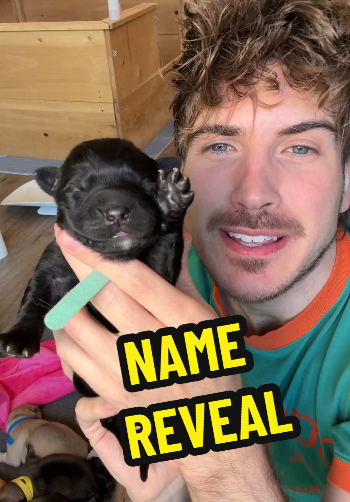 Naming my 7 rescue Puppies! 🥞 