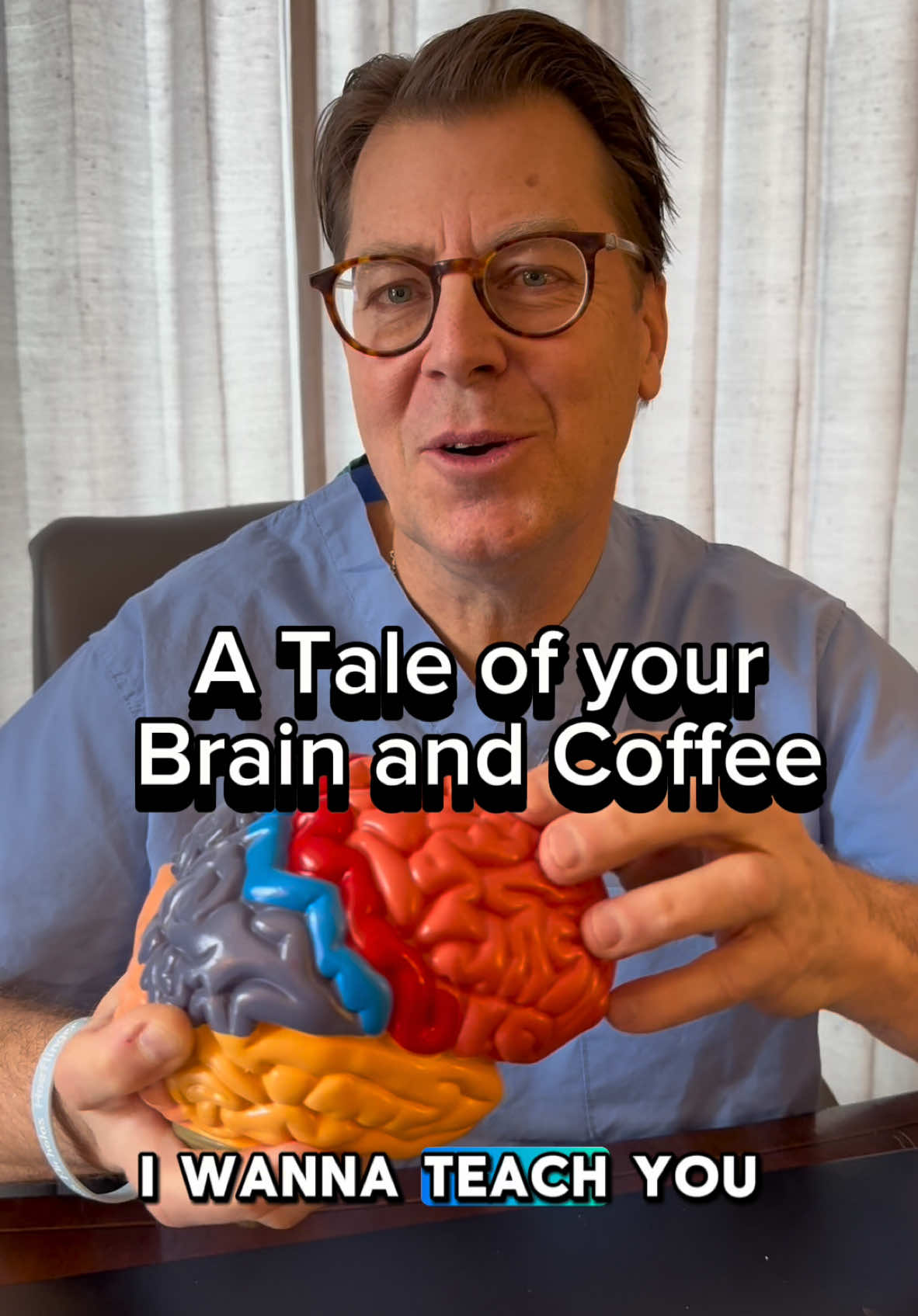 Learn about the Brain using a fun story involving coffee #brain #LearnOnTikTok 