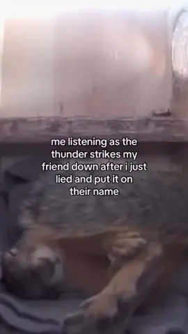☠️☠️☠️#fypage #fypageシ #bro#fyp #meme #memes #fypシ #foryoupage #animals #animalsoftiktok #squirrel #onbro #brolife #life#lightning #thunder#nationalanthem #rip #ripbro #fypagee #friend #sendthistoyourbestfriend #sendtoafriend 