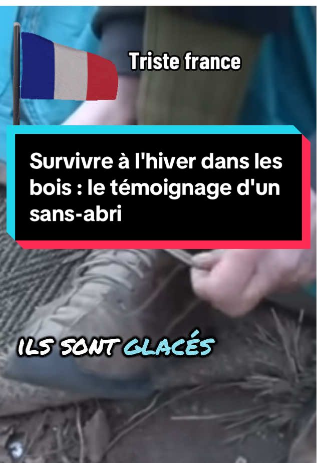 Survivre à l'hiver dans les bois : le témoignage d'un sans-abri. Nous parlons d'un groupe d'environ 300 personnes qui vivent dans les bois, installées sous des tentes, pendant cet hiver rigoureux où tout est gelé. Nous entendons le témoignage d'un ancien chef cuisinier et père de famille divorcé qui vit dans la rue depuis trois mois et qui décrit les défis du froid, du manque de chaussures et de la recherche d'un petit-déjeuner chaud le matin. #hiver #sansabri #survie #froid #pauvreté