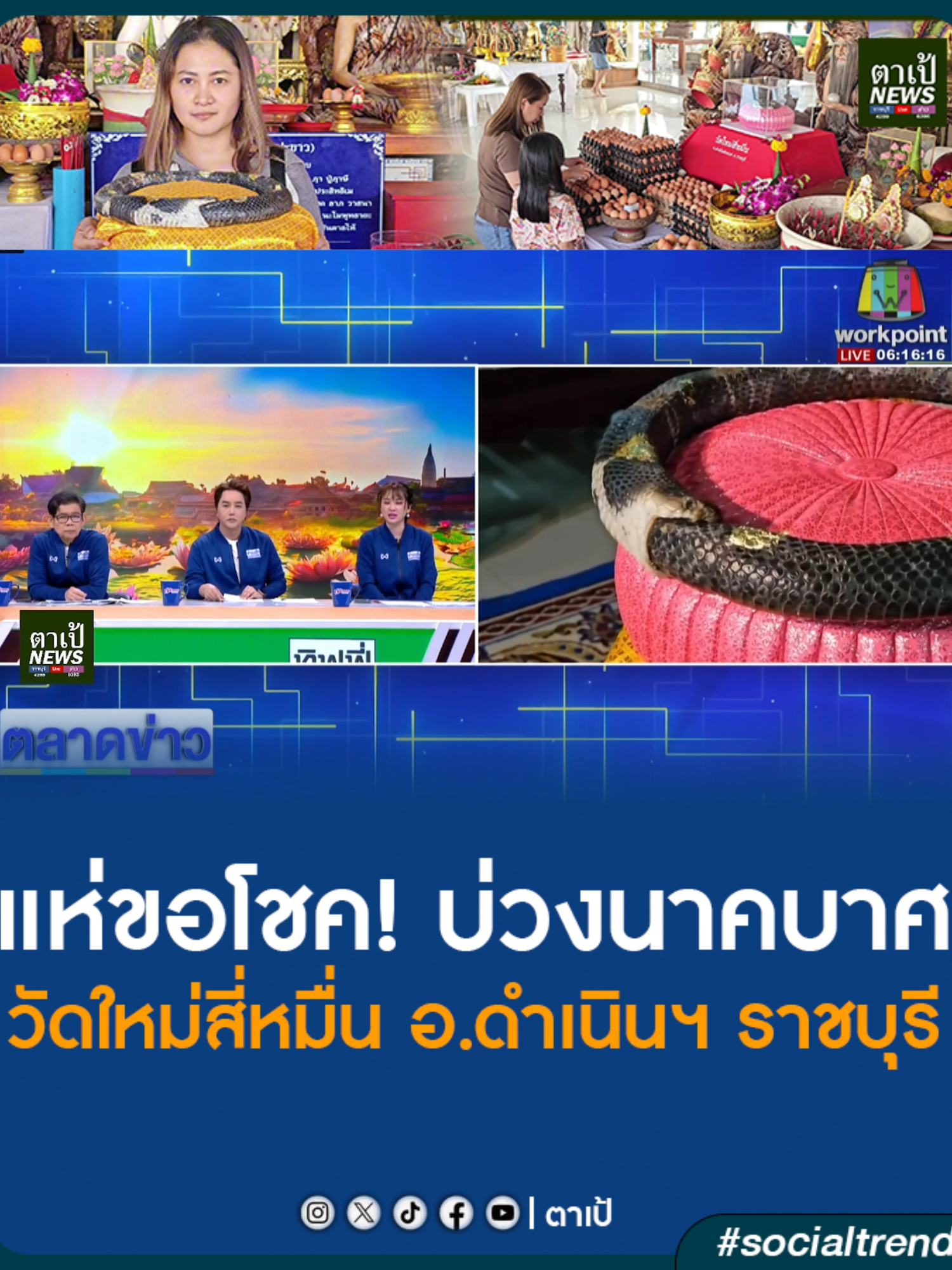 สายมูนำไข่ไก่ ไก่สด บูชา “บ่วงนาคบาศ” งูกินหาง ที่วัดใหม่สี่หมื่น ราชบุรี หลังสาววัย 35 ชาวบ้านโป่งบูชามา 10 ปี แล้วดวงเฮงปลดหนี้กว่า 3.5 ล้าน นำมาถวายกับเจ้าอาวาสเพื่อให้ผู้สัทธาเดินทางมาขอโชคลาภ ระหว่างนำบ่วงนาคบาศตั้งบนแท่น เกิดมีหญิงสาวรายหนึ่งมีอาการคล้ายองค์พญานาคประทับ เชื่อมาให้โชคลาภ . (17 ม.ค.68) ผู้สื่อข่าวรายงานว่า หลังจากที่มีบรรดาสายมูทั่วประเทศหันมาบูชาบ่วงนาคบาศ หรือ งูกินหาง ที่เชื่อว่าเป็นโชคดีในปีมะเส็ง และได้รับโชคลาภกันจำนวนมาก นางสาวลลิตา ผมหอม หรือ น้องเหมียว วัย 35 ปี ที่ได้ออกมาเผยเรื่องราวถึงประสบการณ์ในการบูชาบ่วงนาคบาศ ที่ได้รับจากพระเดินธุดงค์มาบูชา จากการเป็นหนี้กว่า 3.5 ล้าน ชีวิตติดลบ แยกทางสามี หลังนำมาบูชาทำให้ชีวิตกลับดีขึ้นสามารถปลดหนี้ได้ทั้งหมด จนปัจจุบันไม่มีหนี้สินชีวิตมีความสุข จึงได้นำบ่วงนาคบาศวงใหญ่ ซึ่งเป็นงูเห่าดำ สีสภาพสมบูรณ์ซึ่งมีดอกจันมีช่วงคอของงู ดูน่าเข้มขลัง ทำให้ขนลุกเมื่อได้เข้าไปสัมผัส มาถวายให้กับพระครูโสภณ จันทรังสี เจ้าอาวาสวัดใหม่สี่หมื่น อ.ดำเนินสะดวก จ.ราชบุรี เพื่อให้ประชาชนทั่วไป โดยเฉพาะบรรดาสายมูที่มีความเชื่อในเรื่องของความศักดิ์สิทธิ์จากบ่วงนาคบาศ   . ระหว่างที่จะนำบ่วงนาคบาศไปวางยังจุดที่ตั้งบูชาบ่วงนาคบาศ ปรากฏว่ามีสาวสายมูจากจังหวัดเพชรบุรีได้เดินทางมาขอโชคลาภจากบ่วงนาคบาศเกิดมีอาการประหลาดคล้ายองค์พญานาคประทับร่าง เข้ามาแตะที่บ่วงนาคบาศ เกิดอาการร่ายรำ และร้องไห้ออกมาตลาดเวลา สร้างความตกใจให้กับผู้ที่มารอขอโชคลาภจากบ่วงนาคบาศ ต่างเชื่อกันว่าการมาครั้งนี้ของบ่วงนาคบาศ มีจิตวิญญาณอยู่จริง และเชื่อว่ามาให้โชคลาภกับผู้ที่มาขอบูชา โดยที่บรรยากาศเป็นไปอย่างคึกคักบรรดาสายมูที่ทราบข่าวต่างเดินทางมาบูชากราบไหว้ นำไข่ไก่สด และ ไก่สดมาไหว้ขอโชคลาภกันจำนวนมาก . ตำราโบราณครูบาอาจารย์ว่าไว้ “นาคบาศ” หรือ “ศรของอินทรชิต” อานุภาพทำลายได้ทั้งสามโลก เป็นอาวุธที่พระพรหม ประทานให้อินทรชิต และได้ทำพิธีชุบศร ภายหลังตกเป็นของพญานาคราชเป็นผู้ครองเมื่อครั้ง “พรานบุญ” หยิบยืมไปก็ทำให้จับกินรีได้ นาคบาศ จึงได้ชื่อว่าเป็นบ่วงเชือกที่แข็งแรงที่สุด กล่าวกันว่าขนาดพญาครุฑ เจ้าแห่งนกยังต้องกลัว ถ้าเป็นเครื่องรางของขลัง “บ่วงนาคบาศ” ก็จัดว่าเป็น “เครื่องรางแห่งโชคลาภ...ป้องกันภัย” . ขณะที่อ่างน้ำมนต์พญามังกร เจ้าสัวเศรษฐีสี่หมื่น ซึ่งเป็นอย่างน้ำมนต์ที่เรื่องชื่อในเรื่องของความแม่นยำในเรื่องของตัวเลขที่ลอยจับคู่กัน ถูกรางวัลมาไม่ต่ำกว่า 100 งวดแล้ว วันนี้ ทางเจ้าพิธีได้ทำการจรดตัวเลขเรียกว่า เลขโสฬสสะระตะ ซึ่งเป็นพิธีกรรมโบราณด้วยอาจารย์ที่เป็นลูกศิษย์ของทางวัด ได้ตัวเลขแดงจำนวน 6 ตัว นำใส่ไว้ในอ่างน้ำมนต์พญามังกร ปรากฏตัวเลข 2 3 4 5 8 และ 9 โดยขณะที่ทีมข่าวไปถ่ายภาพปรากฎว่าแรงลมทำให้ตัวเลขพัดมาจับคู่กัน 83 – 38, 64 – 46, 52 - 25 คอหวยต่างนำไปเสี่ยงโชคในงวดวันที่ 17 ม.ค.68 นี้ . #ตาเป้ #ข่าวราชบุรี #ข่าว #ข่าวตาเป้