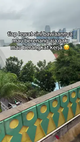 seger kayaknya berenang 😌