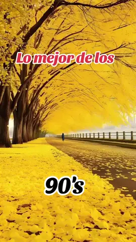 #retro #clasicos #latina #buenamusica #90s #megamix #80s #noventeros #ochenteros #viraltiktok #mundial #chile 