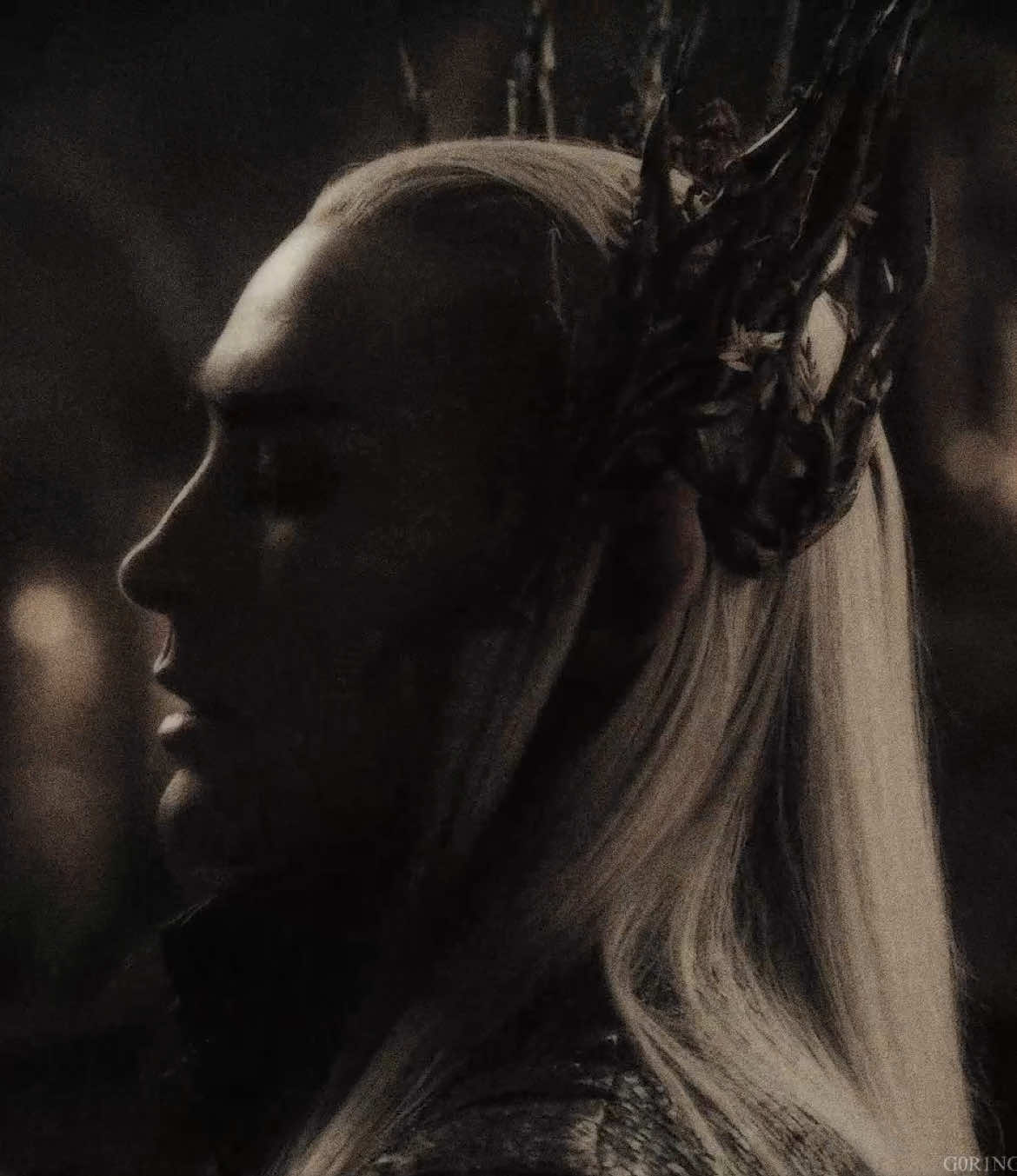 i have faced the great serpents of the north   || #thranduiledit #thranduil #lotr #lotredit #lotredits #lordoftherings #lordoftheringsedit #thehobbit #thehobbitedit #leepace #leepaceedit #hobbit #hobbitedit #explore #explorepage #g0r1ng #fyp