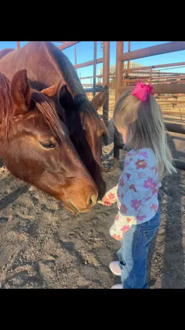 She won’t share animal crackers with her brother, but will sure share with the 2 yos 😆💕