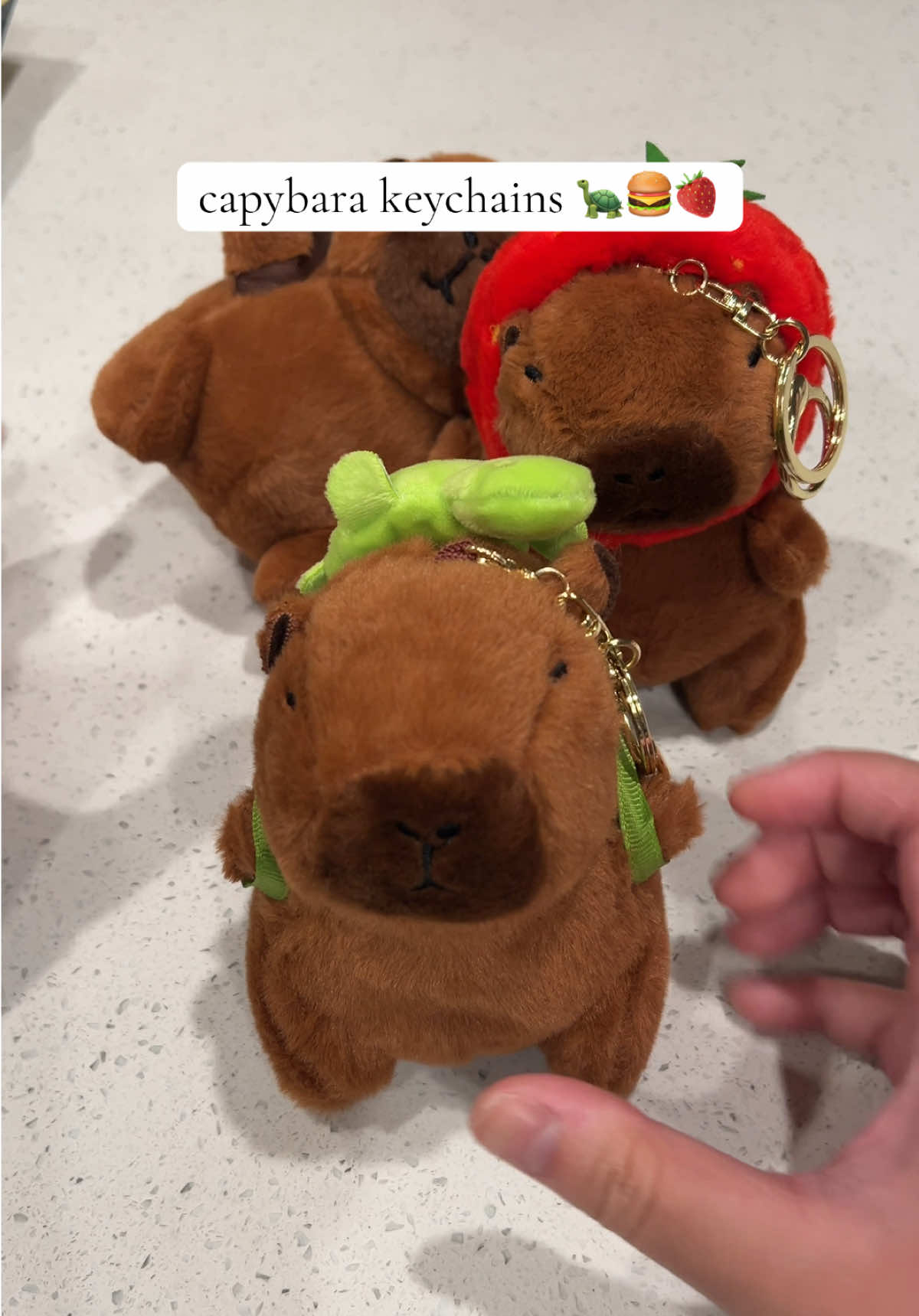 finally caved and got these capybara keychains, they’re sooooo cute!!!! #capybara #capybaratiktok #capybarakeychain #capybaratok #capybaramemes #teamwork #teamworkmakesthedreamwork #teamworkifb #teamworkchallenge #teamworktrend #teamworkifb #teamworkifbbbb 