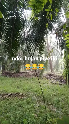 #hujan🌧️  #fyppppppppppppppppppppppp 