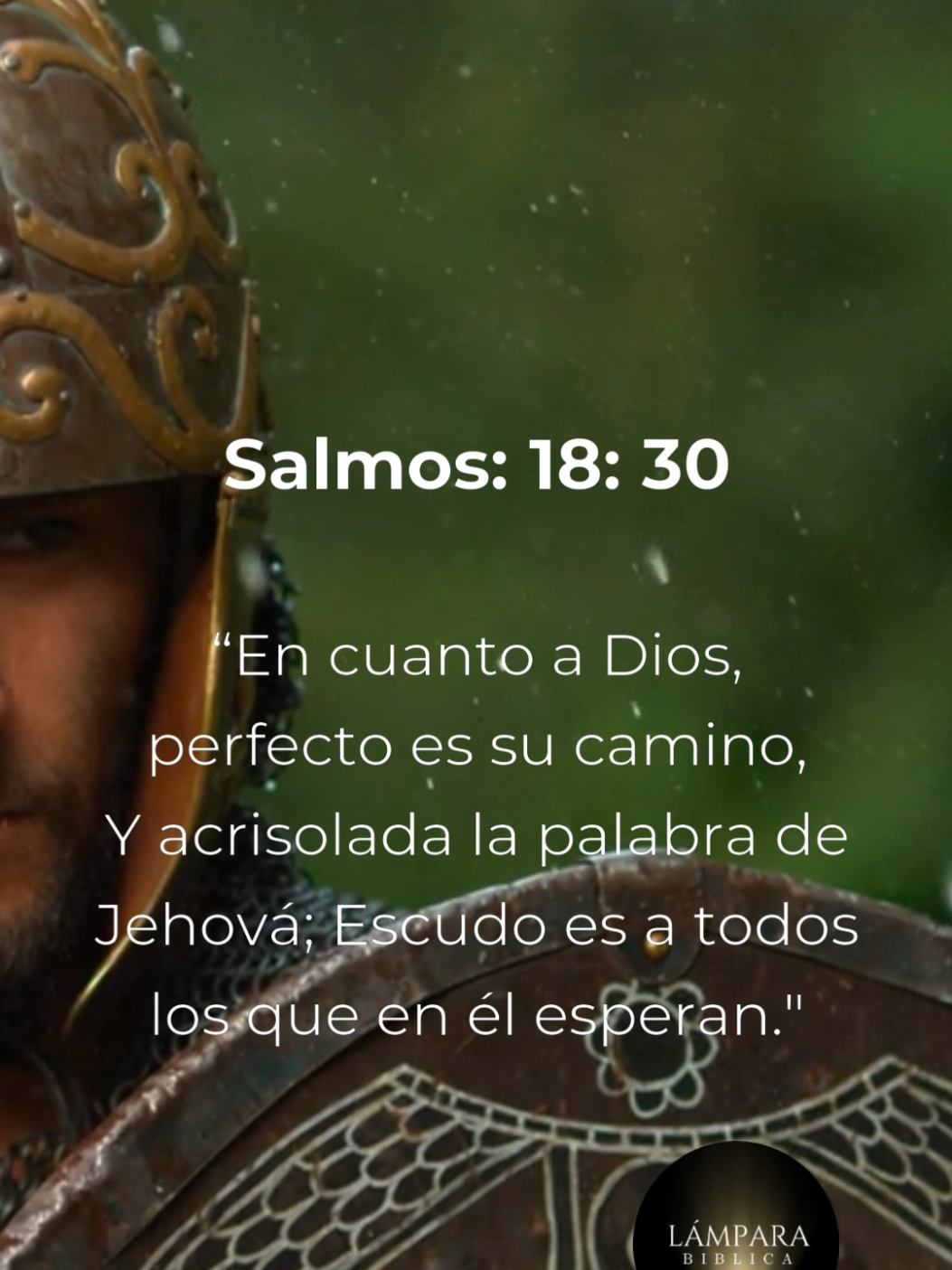 Díos es nuestro Escudo 🛡️. #versiculosbiblicos  #palabradeDios  #jovenescristianos  #Dios #Jesus  #Espiritusanto #Escudo #camino #iglesia #jovenescristianos  #amordeDios