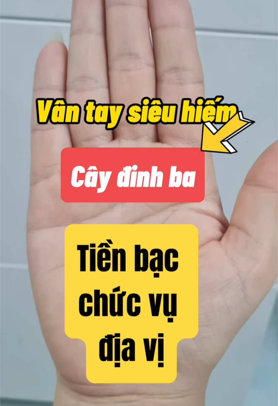 Vân tay siêu hiếm ai cũng muốn có | 0585071018 #xemchitay79 #luangiaichitay  #xemboionline #xemchitay #XemBoi #ChiTay #XemBoiChiTay #xuhuong2024 #CoiBoi #CoiBoiChiTay #CoiBoiOnline #ChiTayTuongSo #xuhuong 