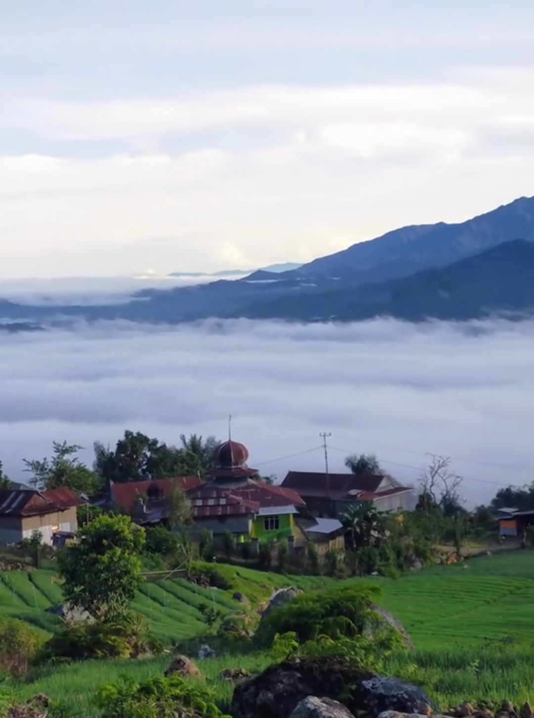 📍Gossing Desa Pandung Batu  #MasyaAllah #fypage #desaku #fypシ゚ #petanimuda #petaniindonesia🇮🇩🇮🇩🇮🇩🌿🌿 #enrekang 