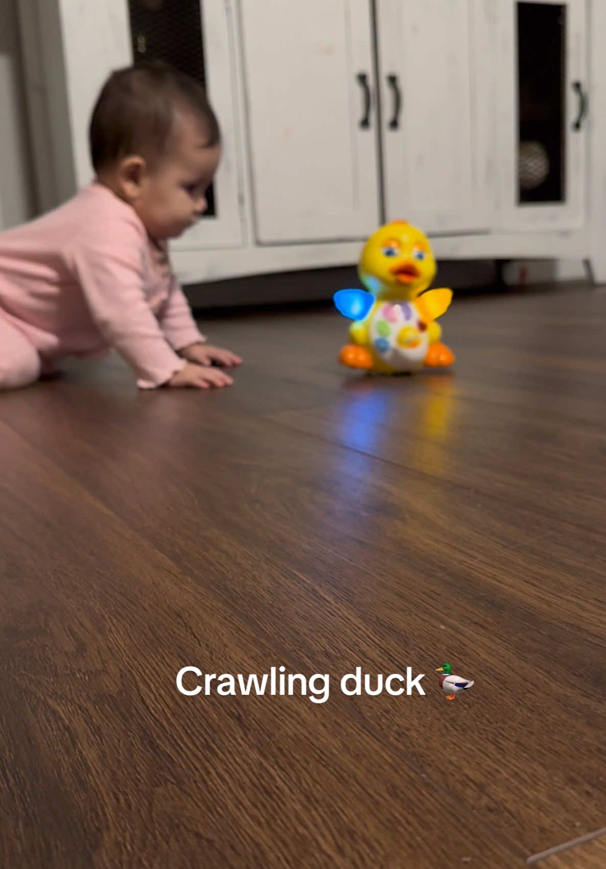 Ese pato andaba un poco loco 🤪 #crawling #crawlingbaby #crawlingtoy #babytok #babytoy #crawlingcrabbabytoy #fyp #bebe 