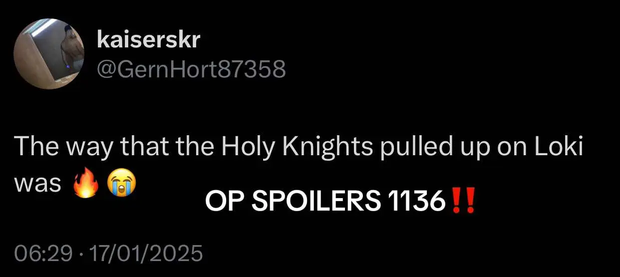 Holy knights vs strawhats? 👀🔥 #onepiece #onepiece1136 #luffy #loki #gunko #holyknight #elbaf #oda #kaiser🇧🇪🇲🇦 