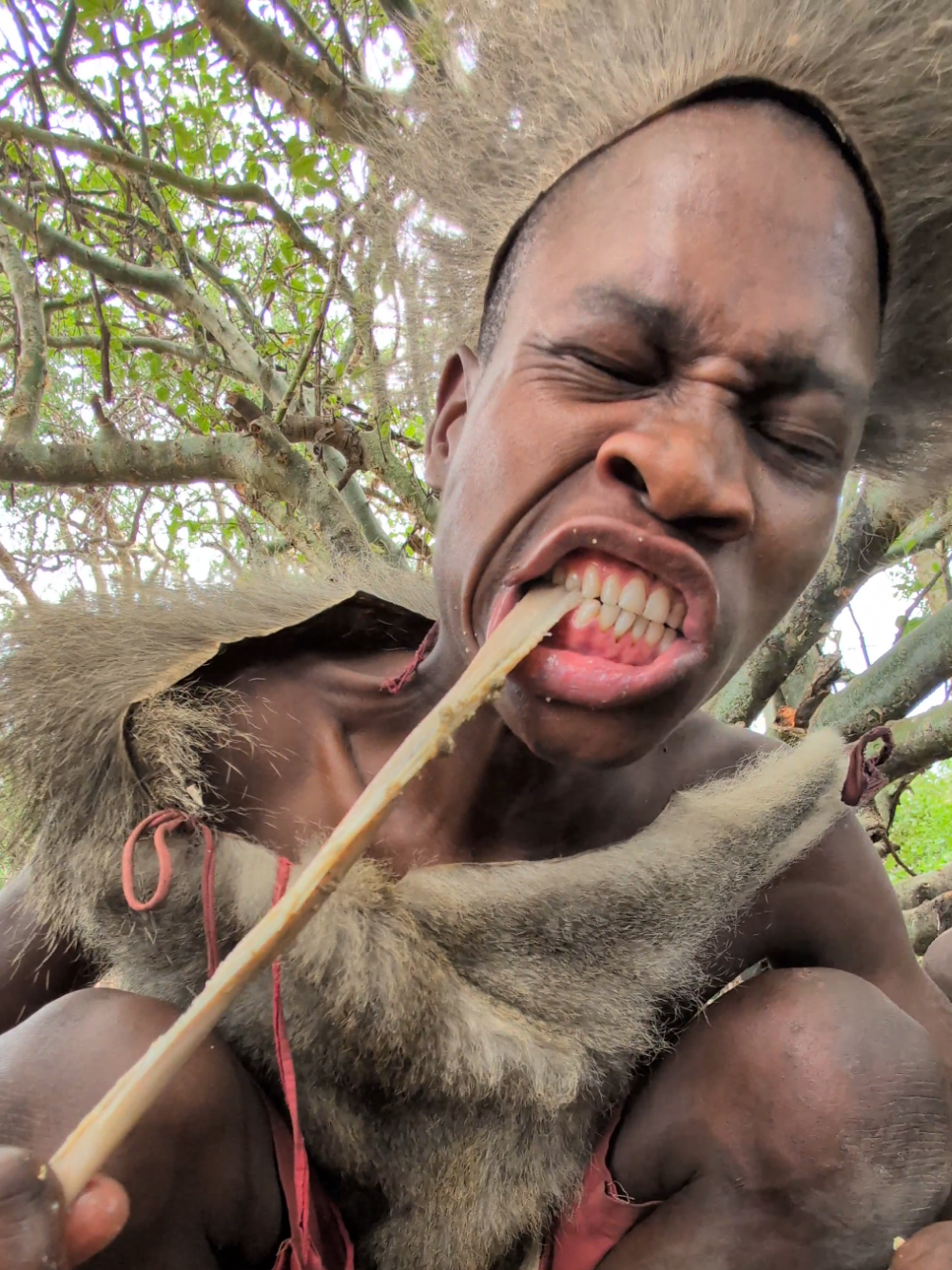 Wow 😲😋 This is So incredible delicious food, See How bushman enjoys his favorite food today #uktiktok #local #village #usa_tiktok #africa #FoodLover #hadzabetribe 