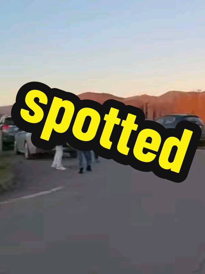 spotted??? #biker #bikersofinstagram #bikergirls #bikergirl #bikerlife #bikers #pikachu #pokemon #reaction #viral #fyp #motorcycle #moto #motogirl #motolife #royalenfield #bike #bikelife #instagram #instapic #instavideo #insta360 #insta360x3 #instavideo #motorcycles #motorcyclesoftiktok #riders #ridersofinstagram #spotted 