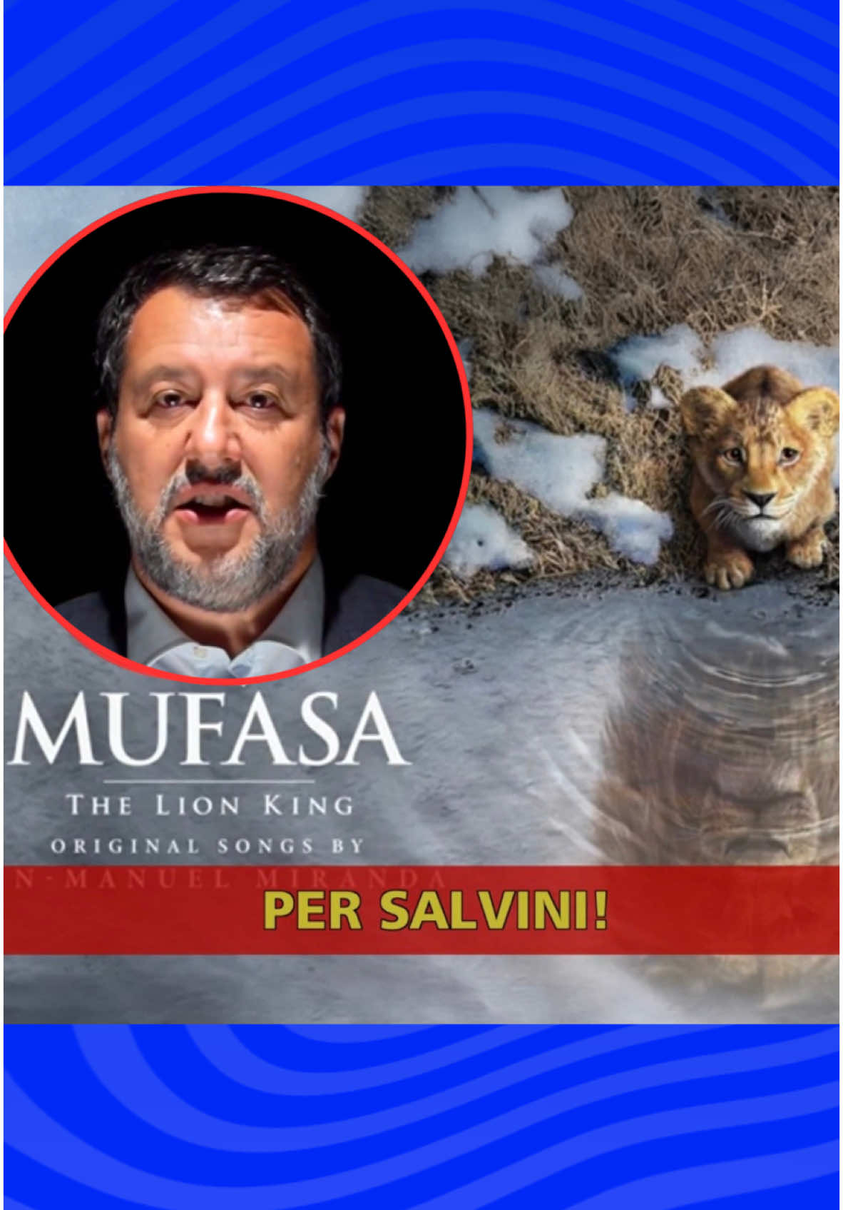 Mufasa è diventato un leghista?  Al link in bio il servizio completo #Striscialanotozia #MatteoSalvini #mufasa #canale5 #tiktok 