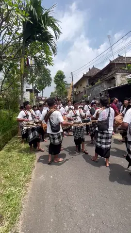 [17 Januari 2025] Ritatkala matetangguran ngarap ring Pelebon Puri Kedisan #yowanagiripuspa #stmb #cadikagung #kedisankaja #kedisan #2025 #pelebon #ngarap 