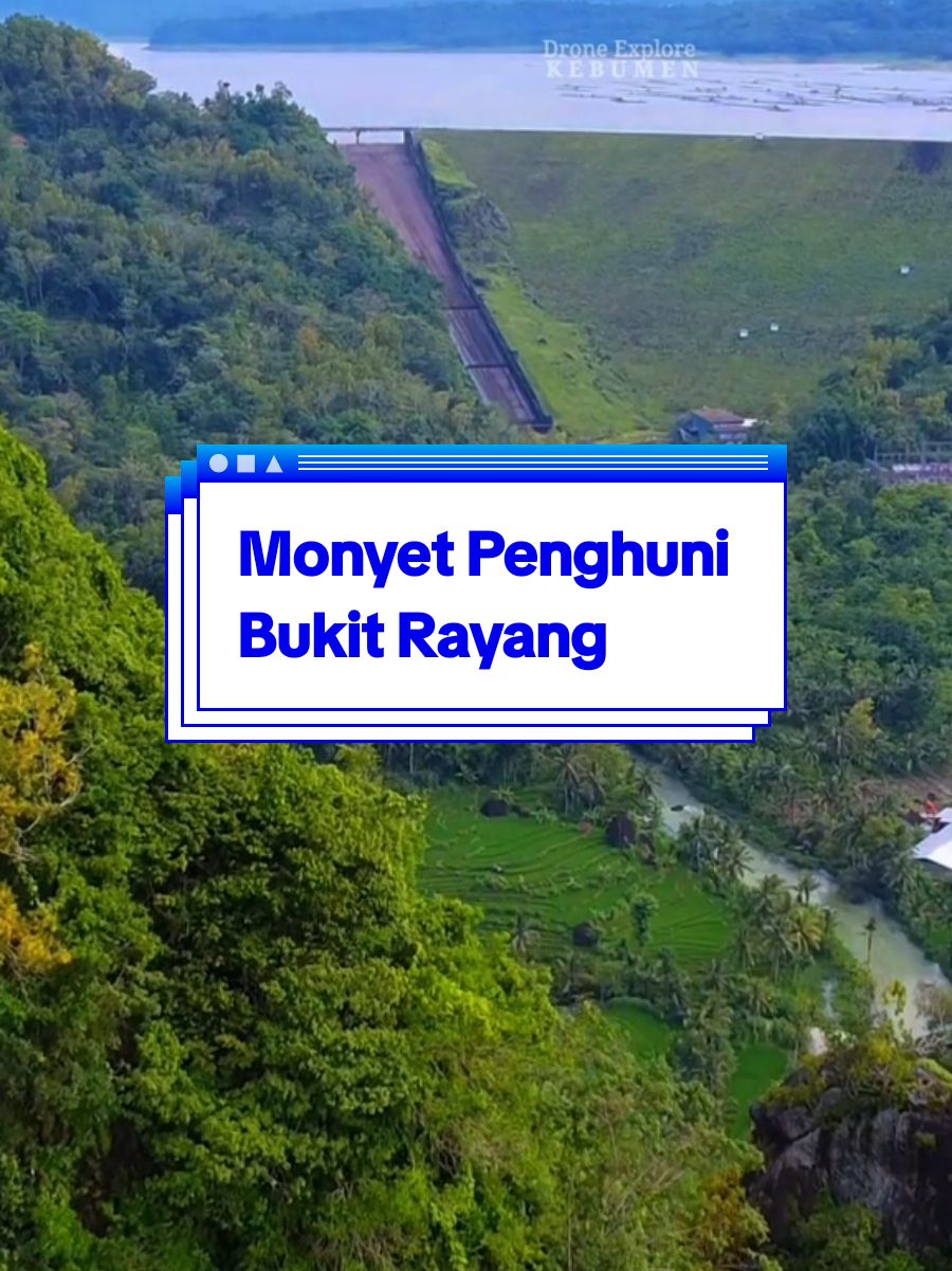 Bukit Rayang Monyet penghuni Bukit Rayang View Waduk Wadaslintang @River tubing sendangdalem @Mas Said @Bang JHON #rindurumah #kebumen