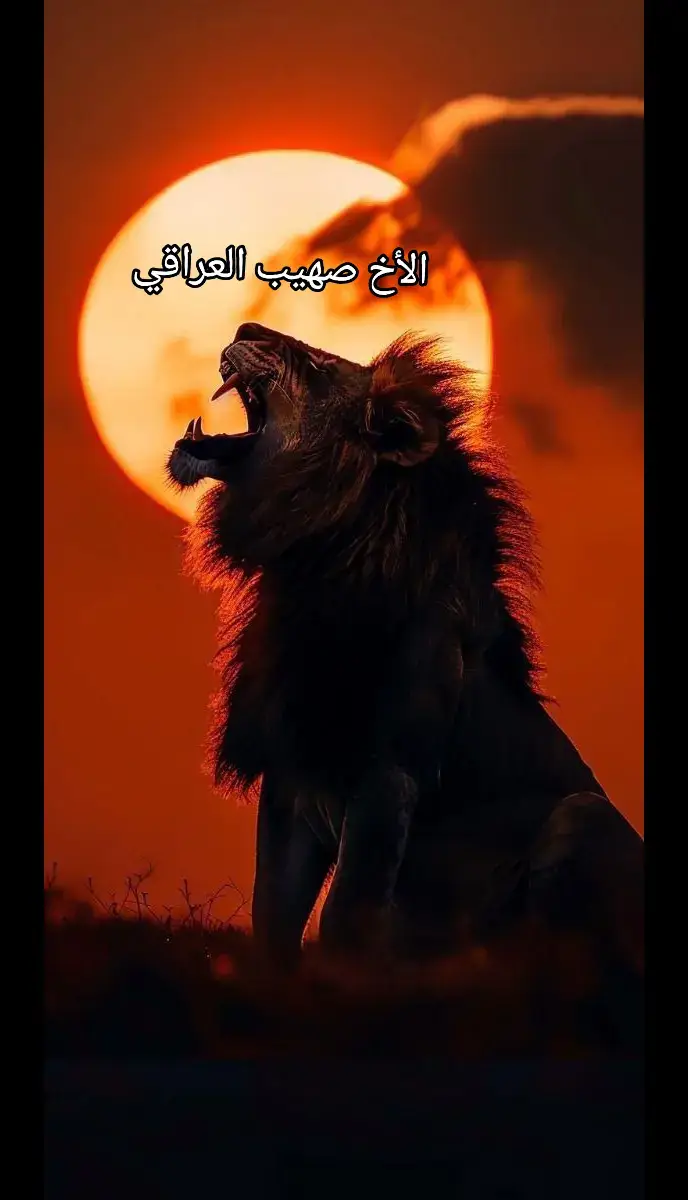 #الأخ_صهيب_العراقي_حفظه_الله 