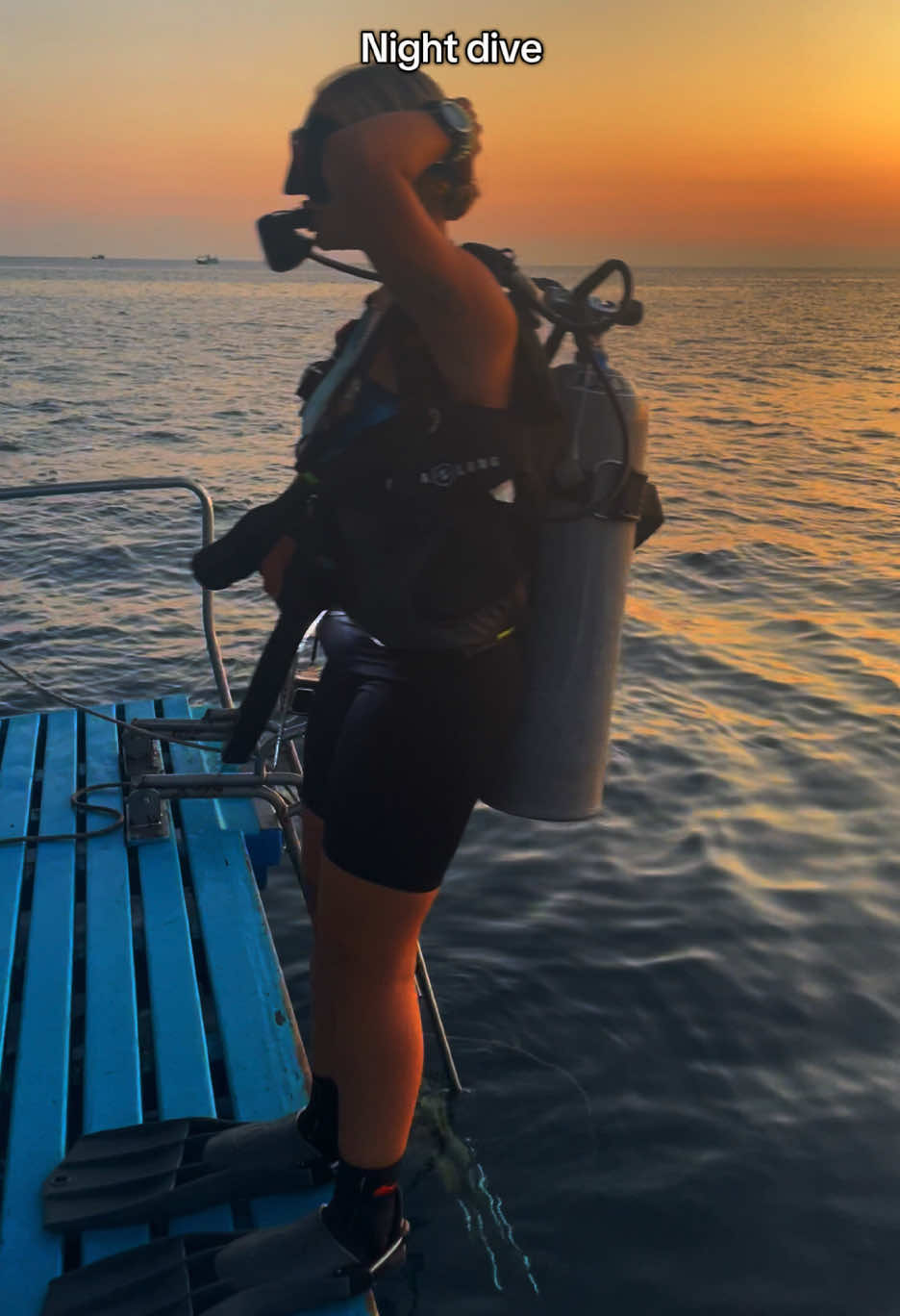 Have you ever done a night dive? Would you?🤿 📍Koh Tao, Thailand #jellyfish #scubadiving #diving #scuba #underwater #underwaterphotography #padi #ocean #dive #scubadiver #uwphotography #underwaterworld #scubadive #sea #travel #photography #nature #marinelife #diver #scubalife #padi #underwaterphoto #paditv #sealife #thailand #divinglife #kohtao #fish #oceanlife