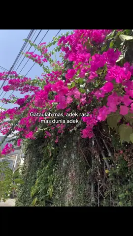 P assalamualaikum #fypシ 