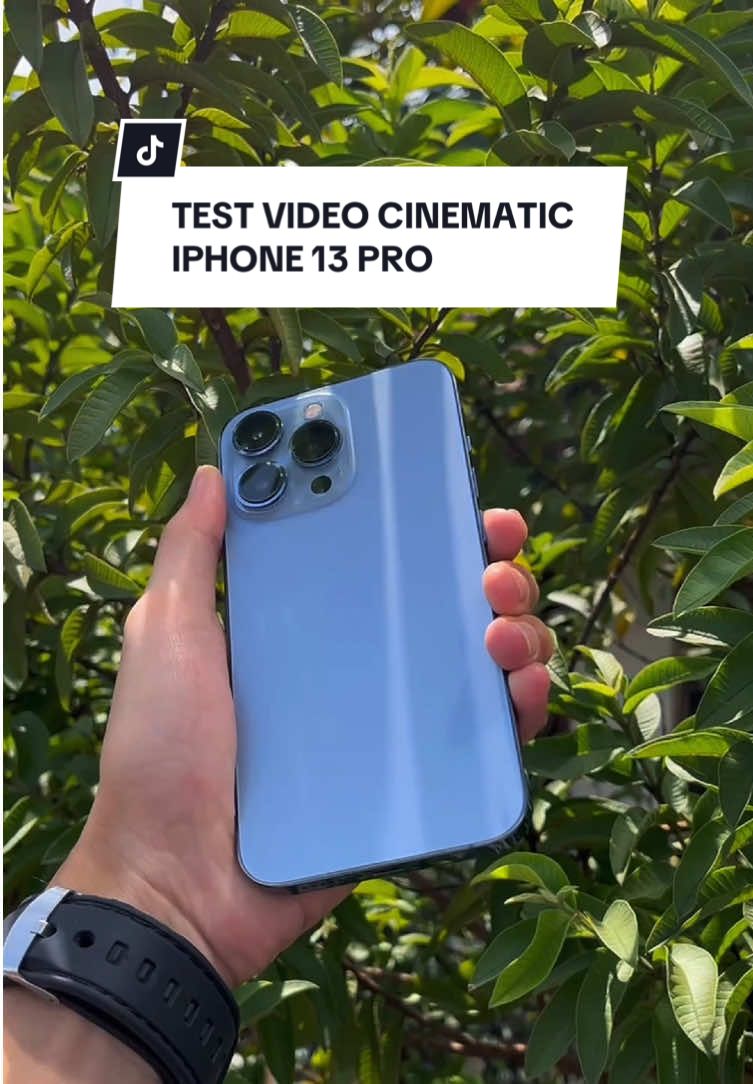 Test Video Cinematic IPhone 13 Pro 📸 #iphone13pro  #cinematic  #cinematics  #cinematicvideo  #iphonebanjar  #iphoneindonesia  #banjarpatroman  #kotabanjar 