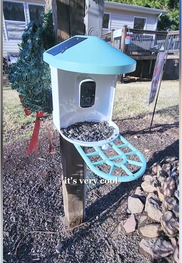 🐦 An Ideal Paradise for Birds #vevor #birdwatching #birdfeeder #birdfeeding #backyardvibes #animal #wild #social #nature #tiktokmademebuyit #fyp